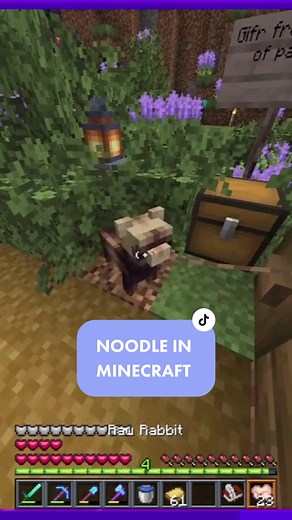 Library Ferret Minecraft Mod Showcase