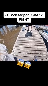 30K reactions · 1.3K shares | If you don't get this excited about every fish you catch then take a kid pier fishing this weekend! Follow us to see the best Pier Fishing and Jetty Fishing from around the Country. Repost from @h00kedonfishing on TikTok #fishingpiers #fishingpiersinfo #stripers #piers #jetties | FishingPiers.Info | Facebook
