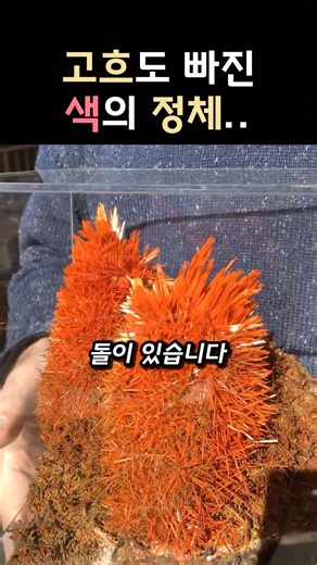 고흐가 즐겨 사용했던 크롬 안료