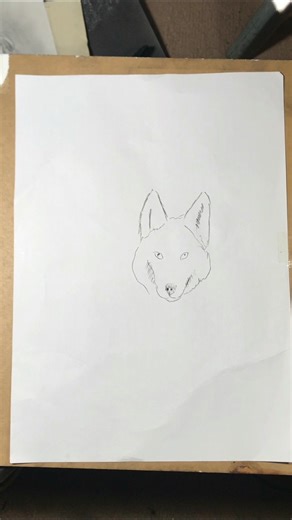 How to Draw a Wolf Easily | Step by Step Wolf Drawing