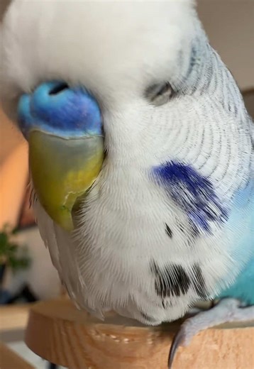 Relaxing Rocky ASMR for Peaceful Listening Experience