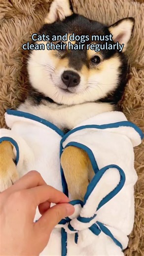 #TikTokShop #tiktok