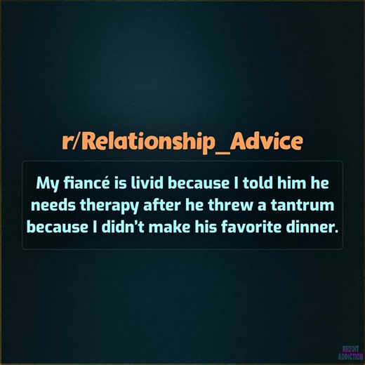 My fiancé is livid because I told him he needs therapy after he threw a tantrum because I didn’t make his favorite dinner. | Reddit Addiction