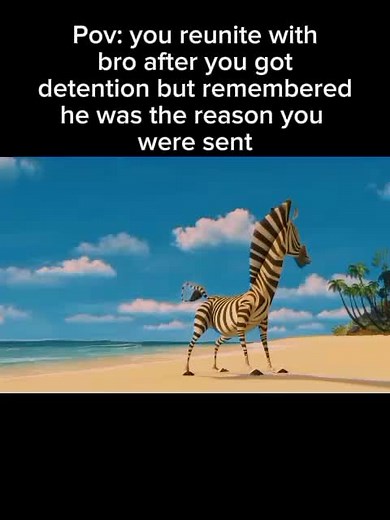 Oh Sugar Honey Iced Tea: The Viral Madagascar Meme Explained
