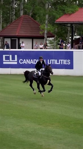 Egypt 🇪🇬🔥🐎 @Tal3t Kheal 🐫 #horsegallop #horsegirlvibes #sunsethorse #egypthorseriding #horsepower