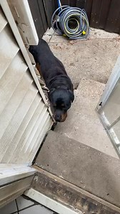 5K views · 112 reactions | Crab boil and real lemonade!!! | Candy Red LLC | Facebook