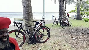 Meet the Christiansted Mango Tree Riders. The Largest Bike Riding Crew on the Virgin Islands. Riding from Christiansted to Frederiksted on a daily Basis. Awesome Unity and Vibes.. 🥭 🎥: Joseph Dubery | Love-Croix