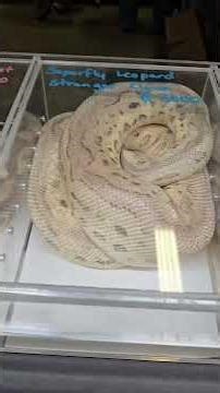 Repticon Costa Mesa 2026: Scale-y Highlights! 🐍🔥 | ¡Lo Mejor de la Expo!