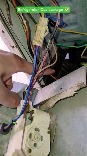 Don't ignore these 3 signs of a gas leak in your refrigerator! 😱 #lifehacks #refrigerator #repair