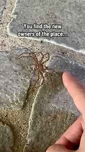 This is the reason I wanted to LEAVE this place immediately when I stepped inside.. 😳🏚️ #abandoned #urbanexploration | LordExplores