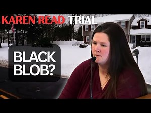 Karen Read Trial (Pt 32) | Julie Nagel