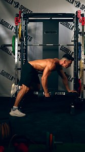 1K views | ️‍♂️ Erreicht eure Fitnessziele Zuhause! ️‍♀️ Entdeckt unsere neue Ausrüstung – die ideale Trainingsbank, Gewichte und Heimtrainer. Gemeinsam trainieren – stark und entschlossen! ✨ | GORILLA SPORTS | Facebook