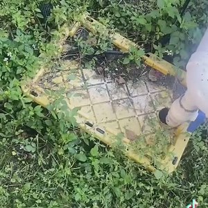 1.3K views · 30 reactions | Installing strawberry plants into new hydroponic system!!! #hydrophonicsystem #gardensofinstagram #strawberries #growfoodrus | Big Steele Urban Farm | Facebook