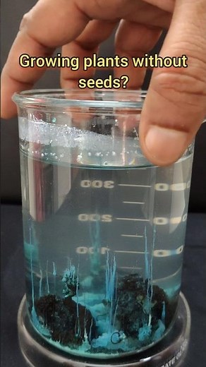 🌱 Chemical Garden Experiment | Growing an Underwater Forest with Chemistry! 🧪