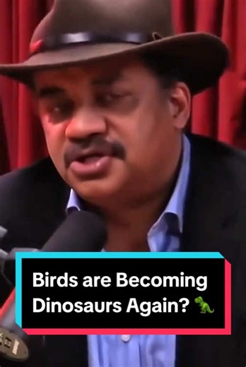 Are Birds Evolving Back into Dinosaurs? 🦖