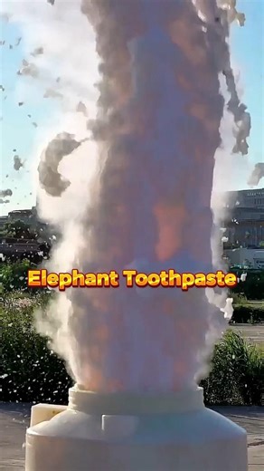 Biggest Elephant Toothpaste