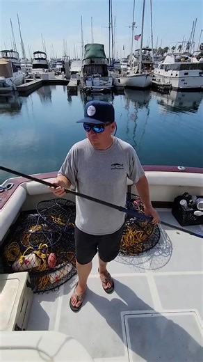 Capt. Justin covers the Promar Elite Series Gaff and why its important to have a longer gaff | Promar & Ahi USA