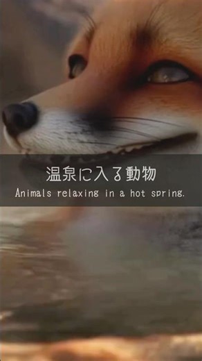 Animals relaxing in a hot spring
