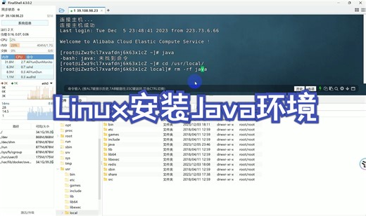 Linux安装Java环境