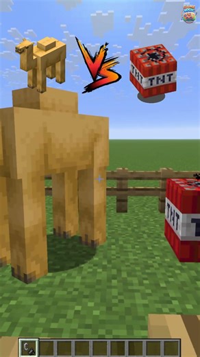 TNT vs Camel.. Who Survives? 💥 Epic Minecraft Test | Minecraft Shorts #minecraft #minecraftshorts