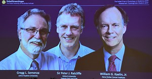 Nobel Prize honors work helping fight disease