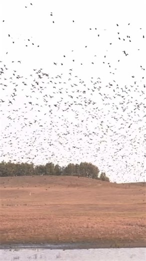 Stoeger on Instagram: "You can only bring one person. TAG THEM BELOW. 👇 🎥: @mojooutdoors *Stoeger does not sell firearms online to individual customers. Please check your local dealer for more information.*"