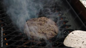 roasting meat in a professional kitchen for food shooting close-up