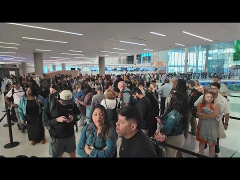 ICE agents may be deployed to help with some security roles amid partial government shutdown