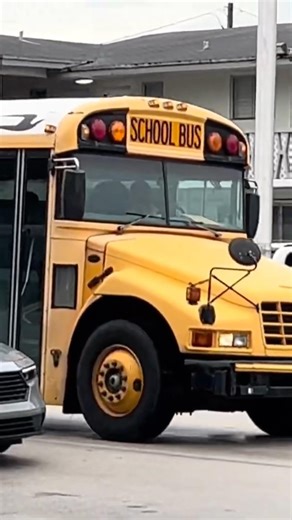 2007 Blue Bird Vision #37461