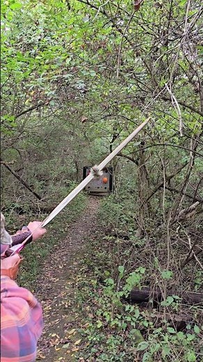 Traditional Archery #longbow #hillstyle
