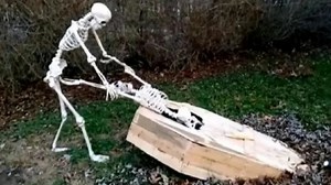 【直播回放】DDNet 2025年1月24日18点场