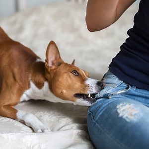 595 reactions · 85 shares | Have you ever wondered how people get...