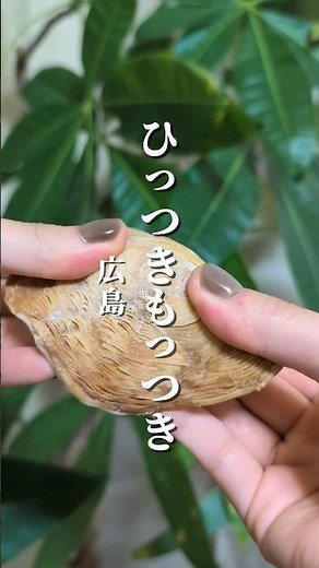 広島土産の新定番！ひっつきもっつき！