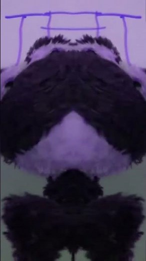 THX Tex 2 Moo Can in G Major 17