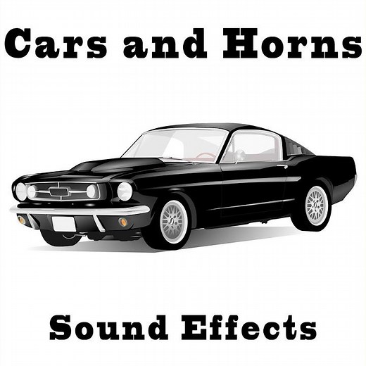 Car Horn Extended