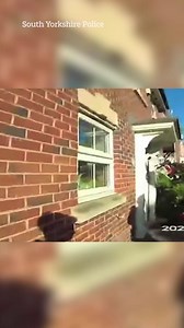 Moment drug dealer in pants leaps through door at police while trying to flee | The Irish Sun