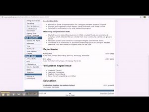 Functional Resume Example