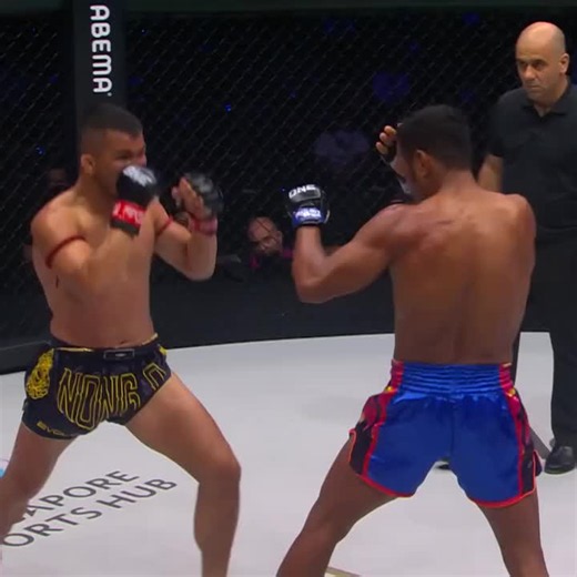 One Championship: Frame by Frame Analysis