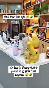 374K views · 9.1K reactions | KUCING LUCU  #fbpro #reel #viral #jangkauan #sorotan #follower #viewer #bonus #fyp #mk | Bambang Suprayogi | Facebook