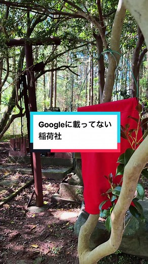 Googleに載ってない稲荷社を探す：忘れられた山奥の鳥居と祈り