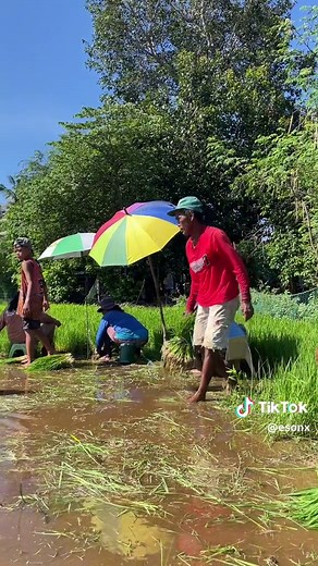 Celebrating Filipino Farmers: Silent Heroes of Agriculture