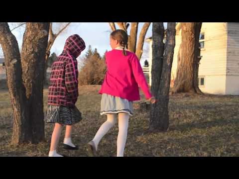 The one Hundred Dresses