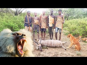 Visiting Baboon Eating Tribe in Africa