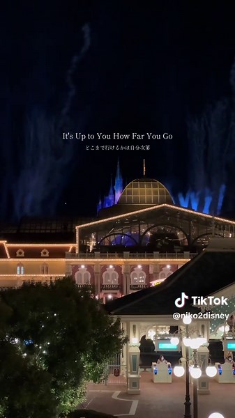 東京ディズニーランドの美しさを楽しもう