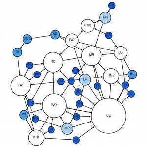 Sociometry - Alchetron, The Free Social Encyclopedia