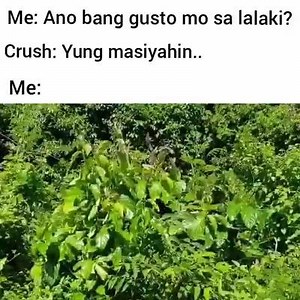 sense of humor o masayahin? (c)JasperSniper | Random Vid