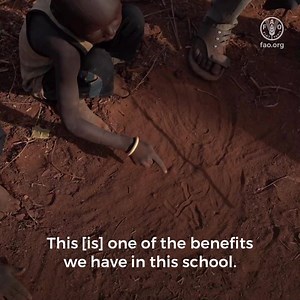 34K views · 352 reactions | FAO and UNESCO are ensuring that pastoralists' children in South Sudan do not miss out on an education. But watch to find out how the benefits go far beyond learning https://bit.ly/30pFEal | Food and Agriculture Organization of the United Nations (FAO) | Facebook