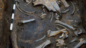 1.2M views · 20K reactions | German archaeologists reveal the untold story behind Europe's oldest battlefield! #AncientUnexplainedFiles Watch full episodes on discovery+: https://bit.ly/3HfHr6e | Love History | Facebook