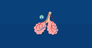 Alveolar Ventilation: Overview and Practice Questions (2025)