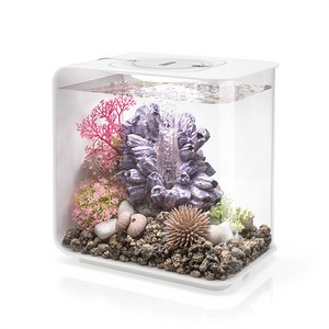 biOrb Flow 15 Aquarium with Standard Light - 4 Gallon, White, Acrylic - Walmart.com